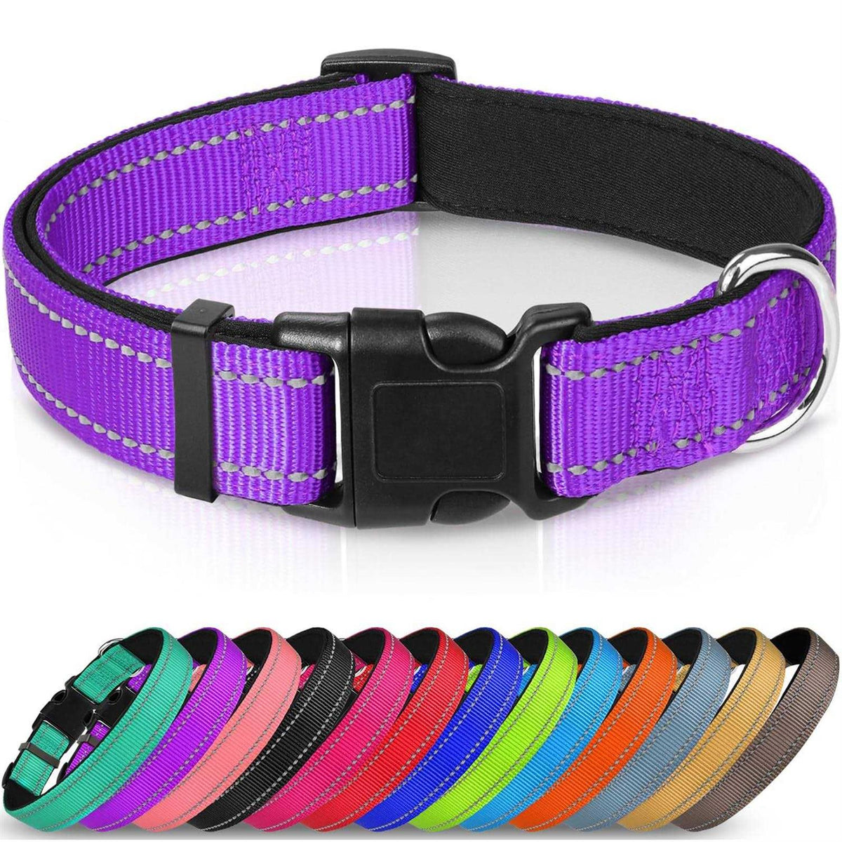 Reflective Neoprene Padded Nylon Dog Collar V504