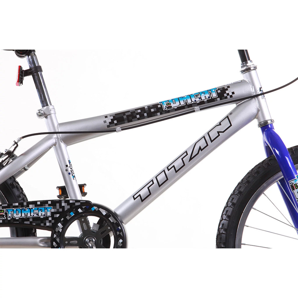 20 In. Blue and Silver BMX Bike B4805