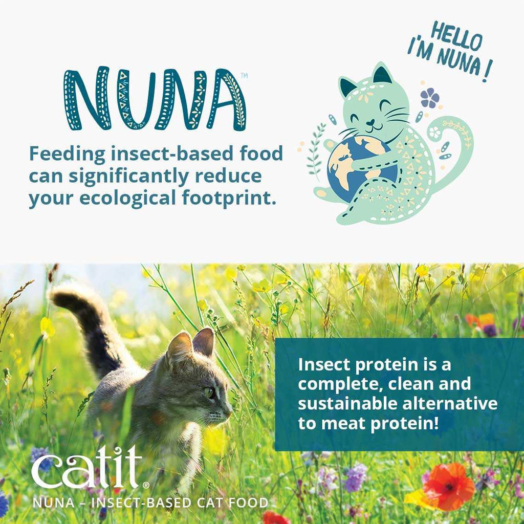 Insect Protein Recipe H576251