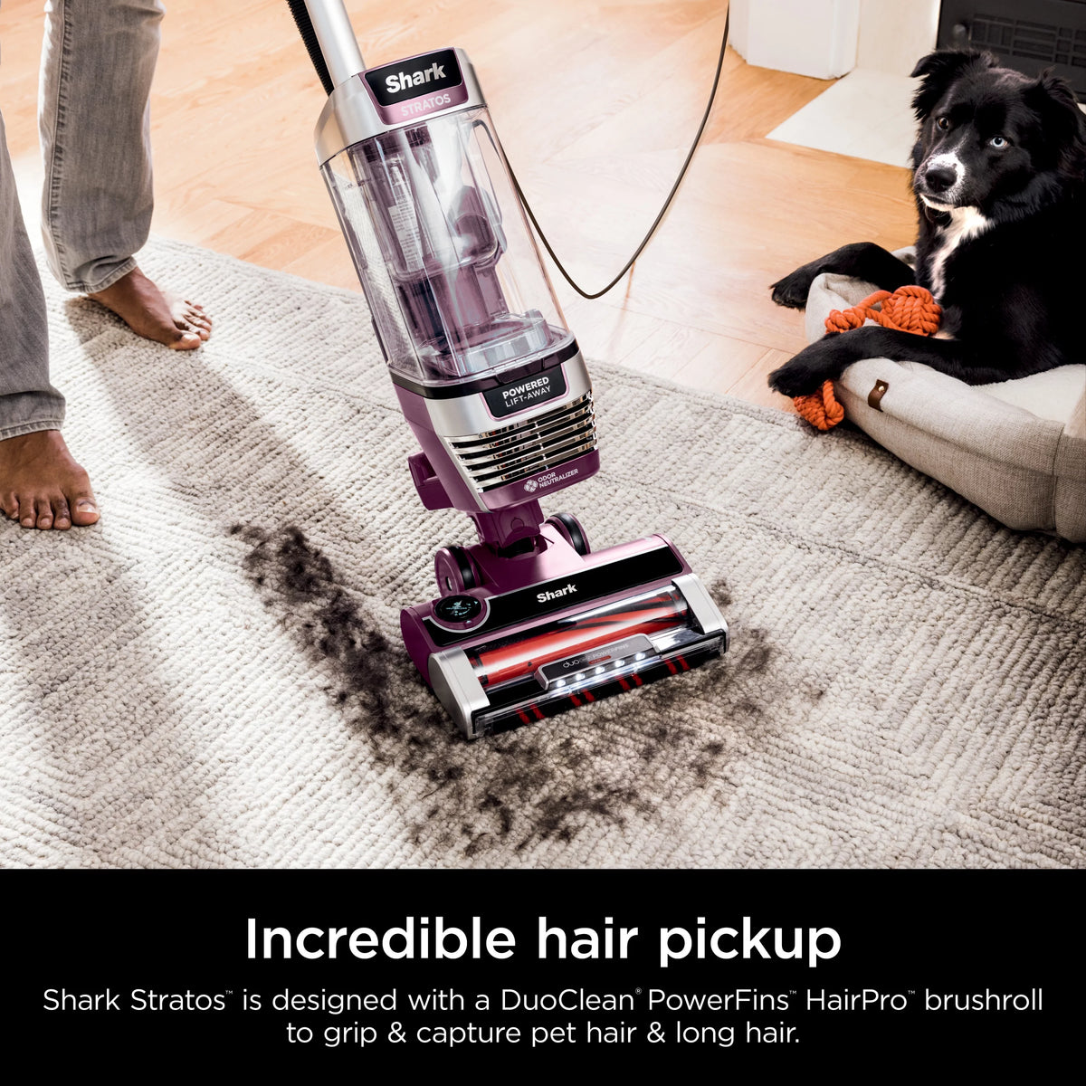 Upright Vacuum with Self-Cleaning Brushroll M993