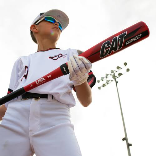 -11 USA Baseball Bat W213