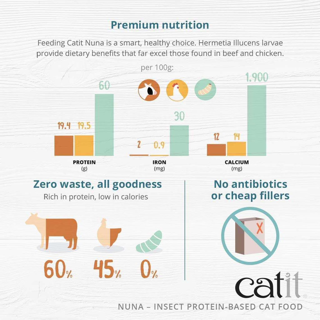 Insect Protein Recipe H576251