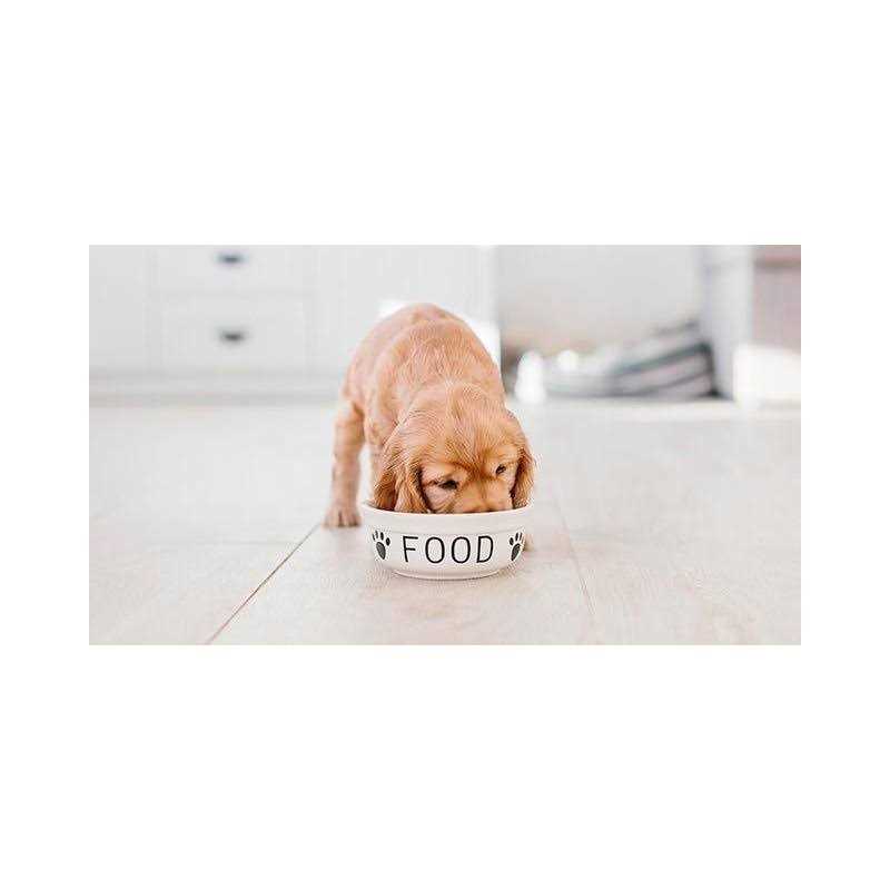 Puppy Formula Chicken, Rice and Vegetable Dog Food A19364