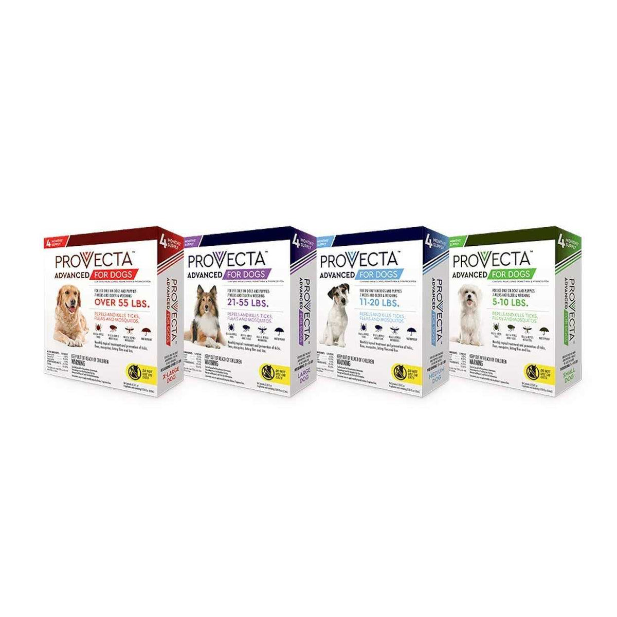Advanced for Dogs K3344
