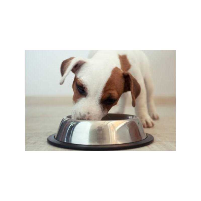 Puppy Formula Chicken, Rice and Vegetable Dog Food A19364