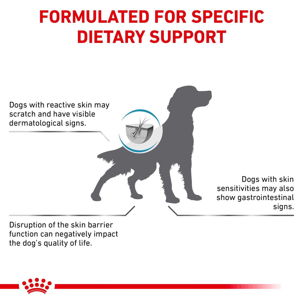 Skin Support Dry Dog Food N2845