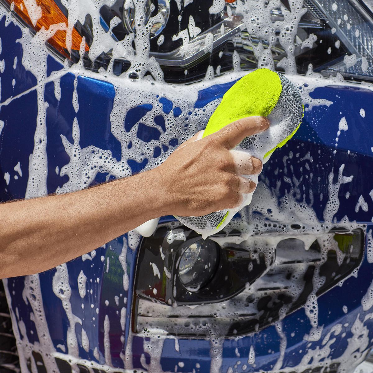 Wash and Bug Sponge Y88289