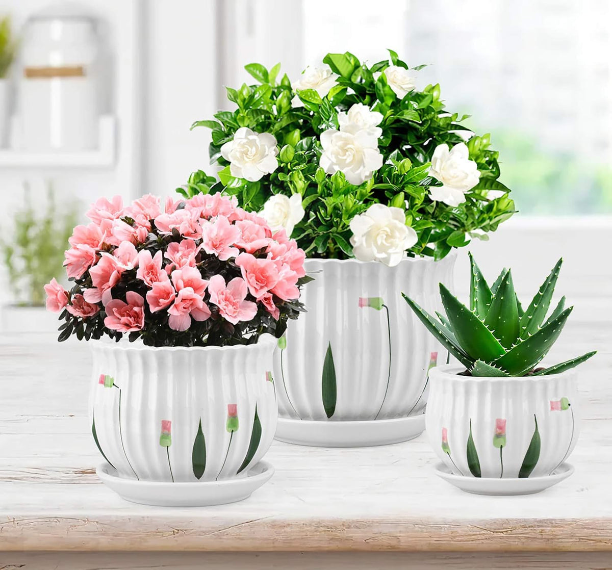 Set of 3 Ceramic Plant Pots with Drainage and Saucer Q159658