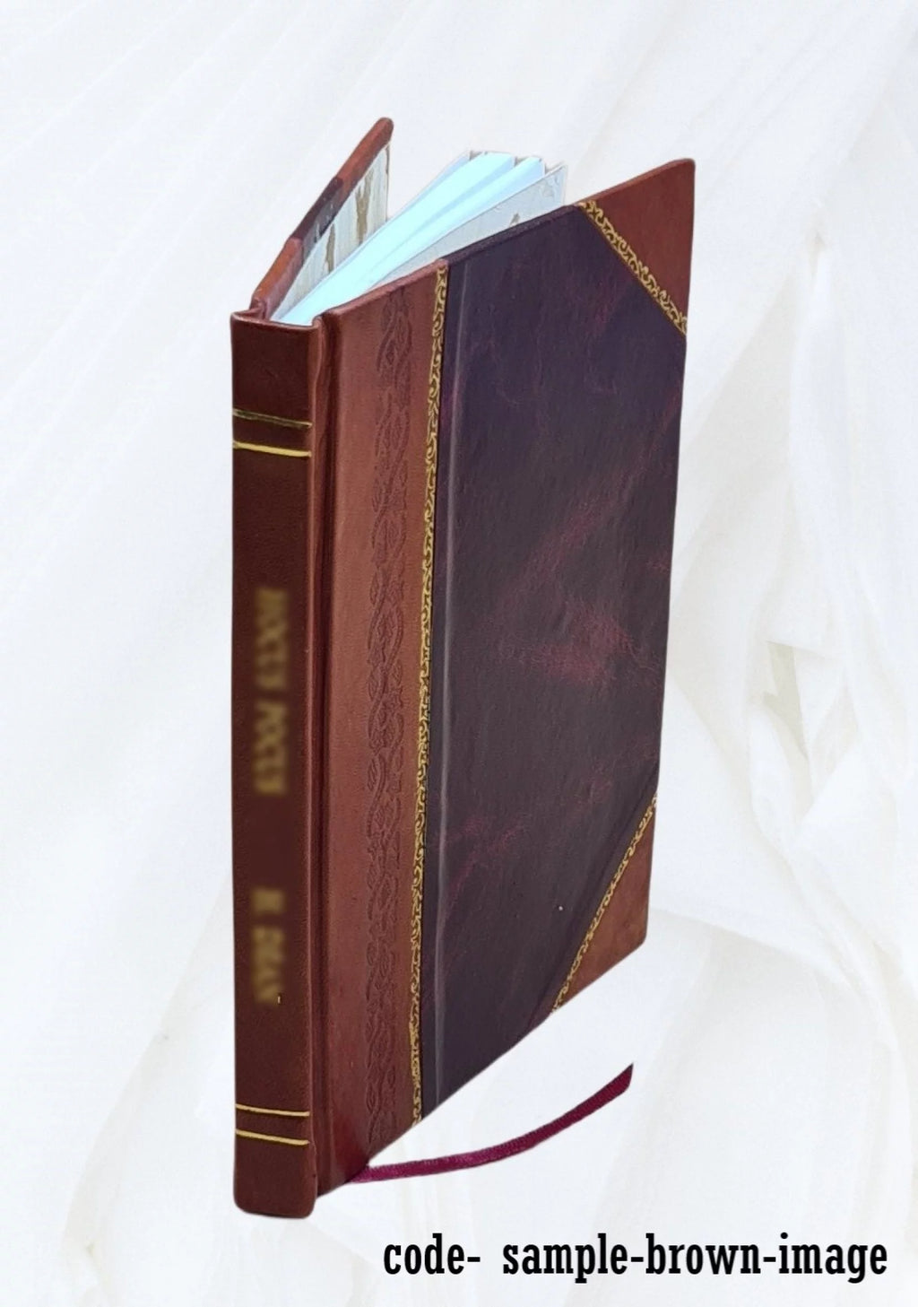 Calendar of State Papers Domestic Series Charles II 1676-1677 Leather Bound C101