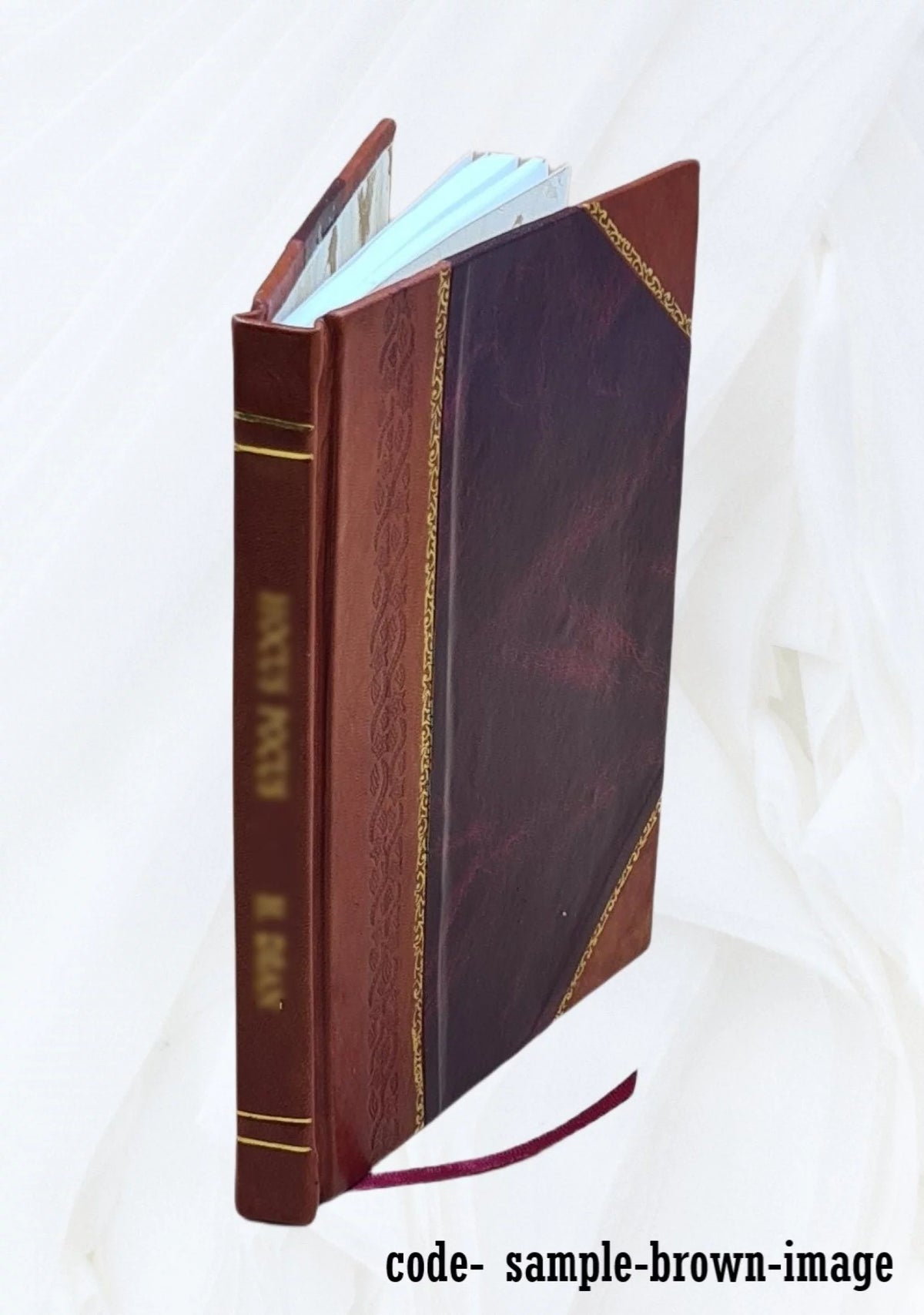 Calendar of State Papers Domestic Series Charles II 1676-1677 Leather Bound C101