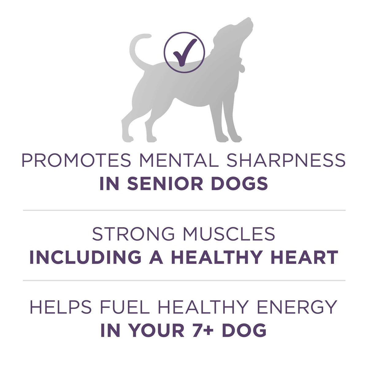 Adult Dry Dog Food W61497