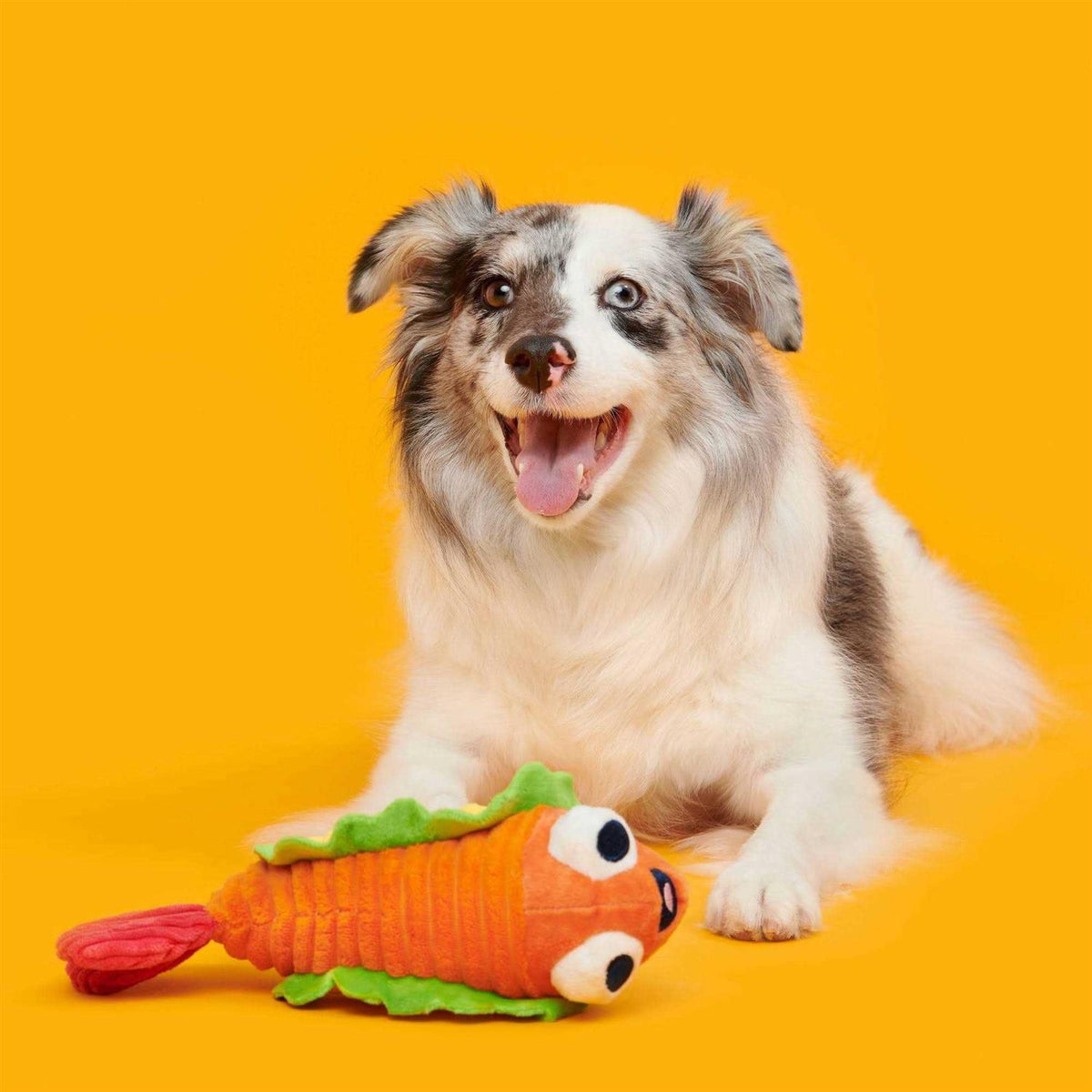 Shrimp Taco Dog Toy M789