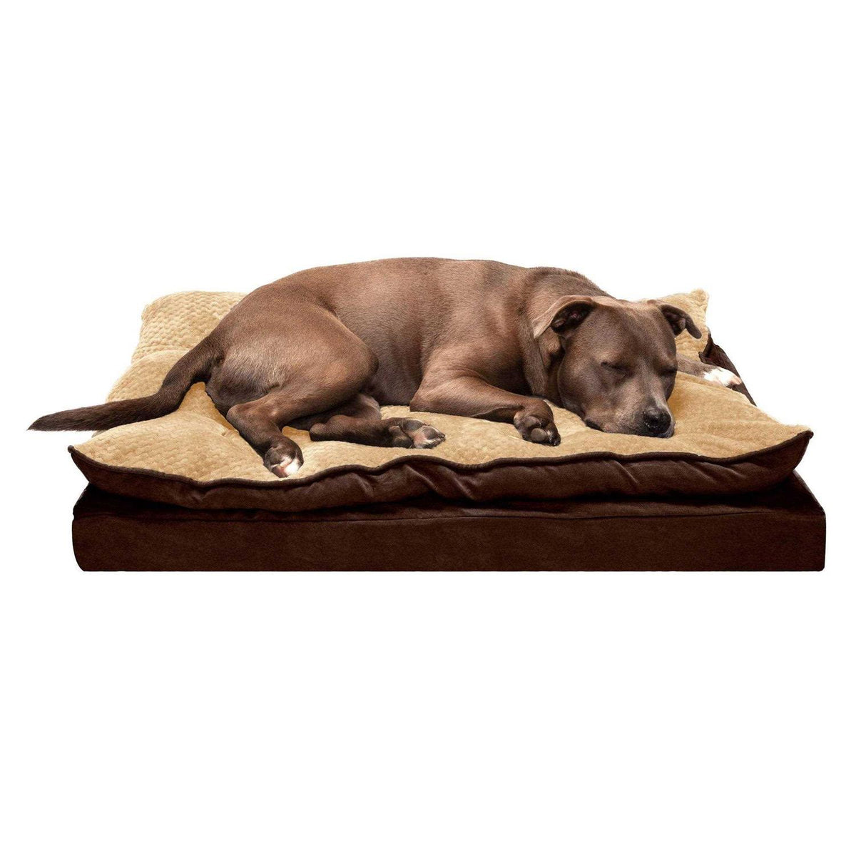 Mink Fur & Suede Pillow-Top Orthopedic Dog Bed G59755