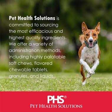 Cognitive Function Dogs Pet Supplies C339