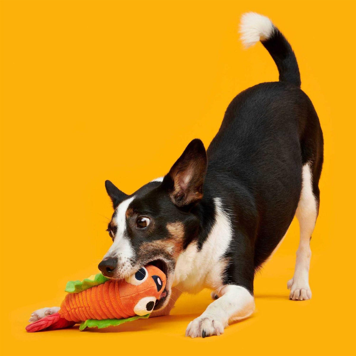 Shrimp Taco Dog Toy M789