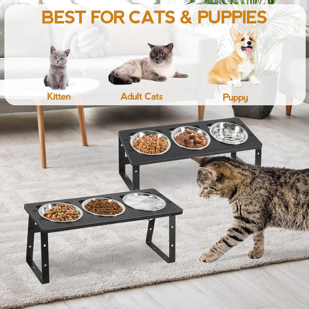 15° Tilted Raised Cat Bowls with Stainless Steel Feeder Bowls E762