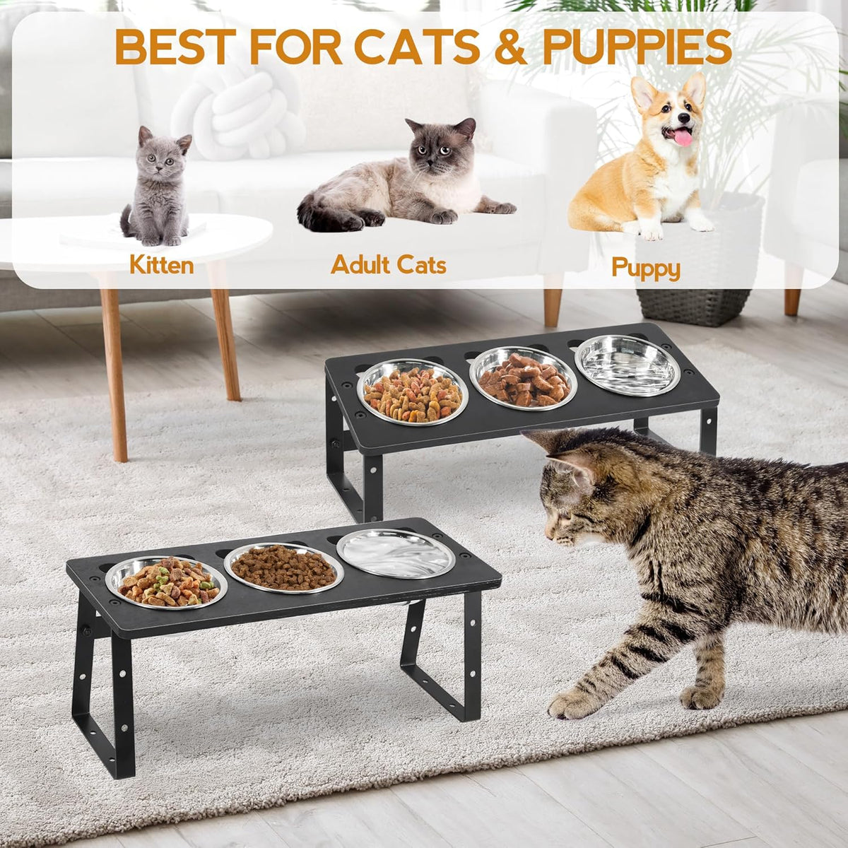 15° Tilted Raised Cat Bowls with Stainless Steel Feeder Bowls E762