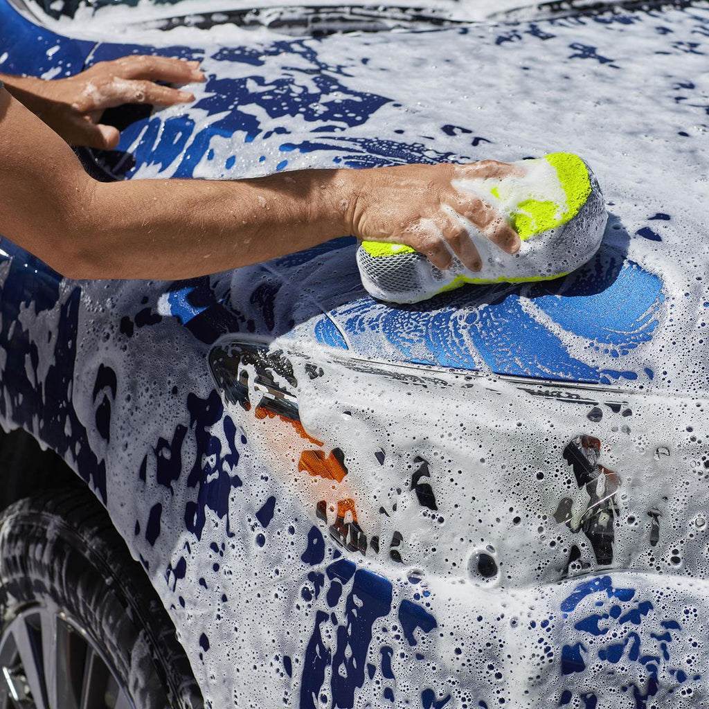 Wash and Bug Sponge Y88289