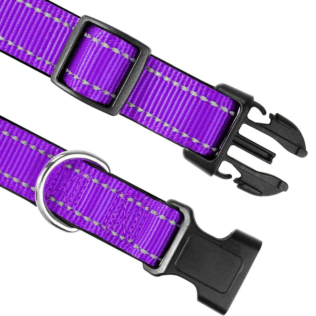 Reflective Neoprene Padded Nylon Dog Collar V504