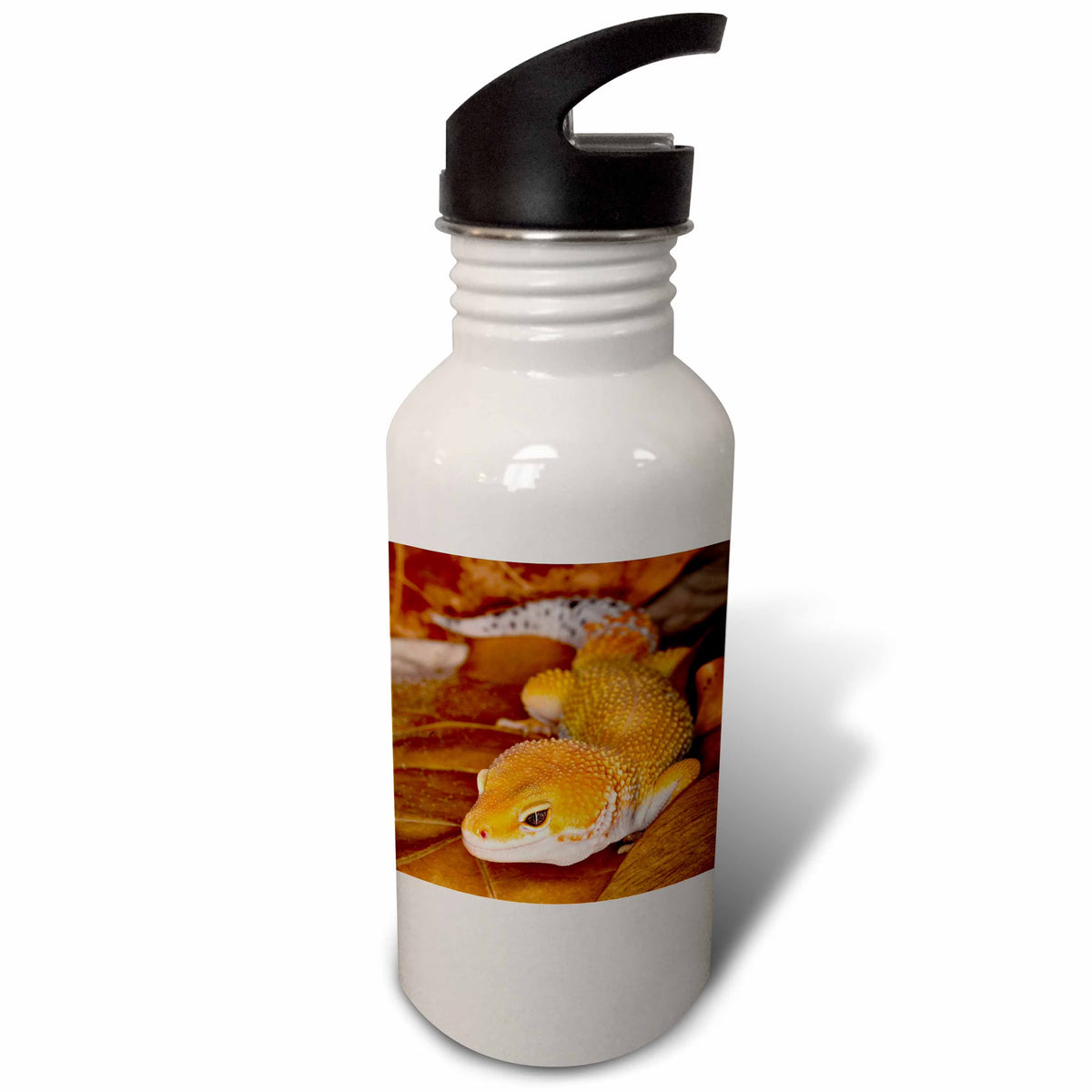 21oz Sports Water Bottle O41967
