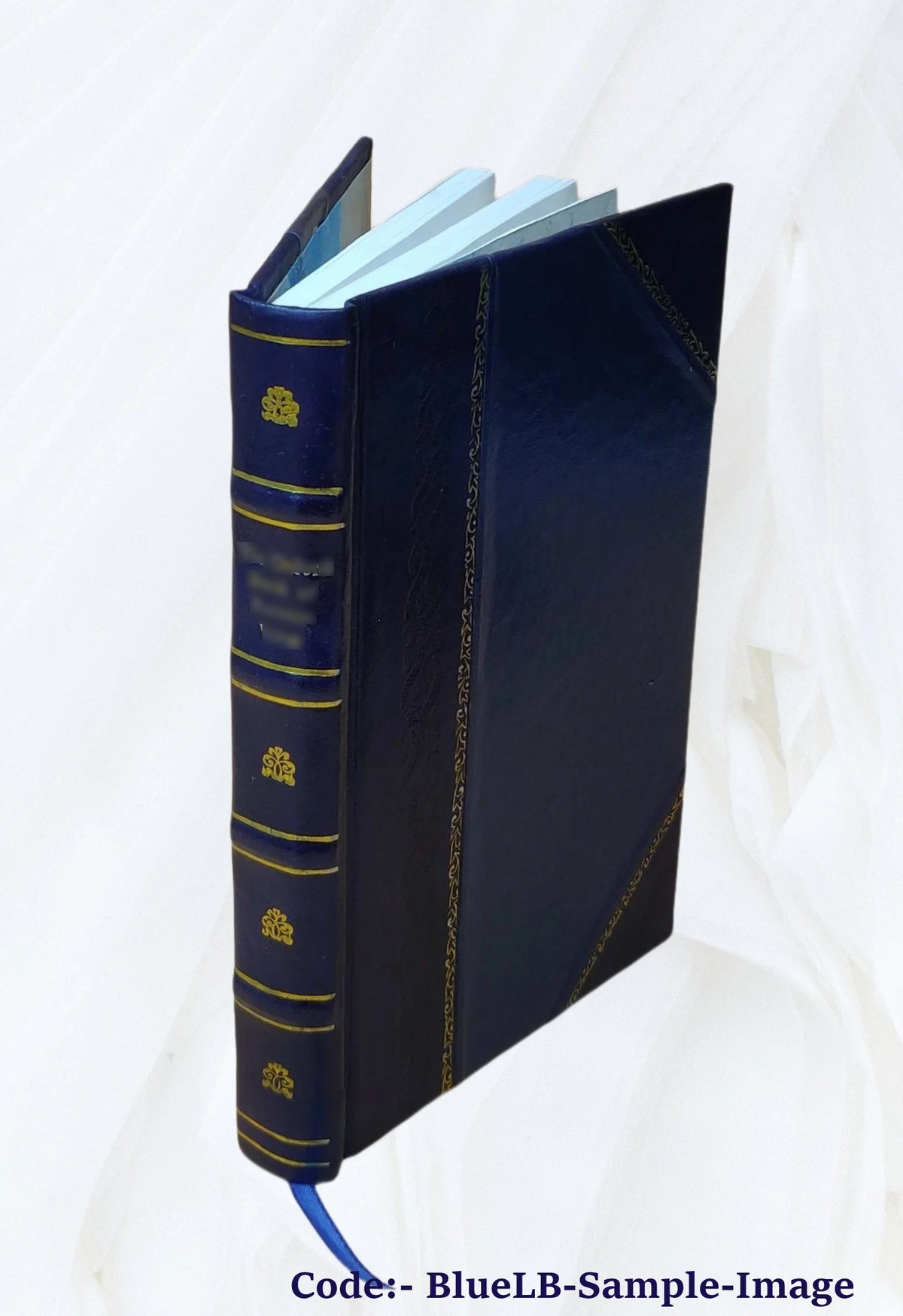 Leather Bound H2381
