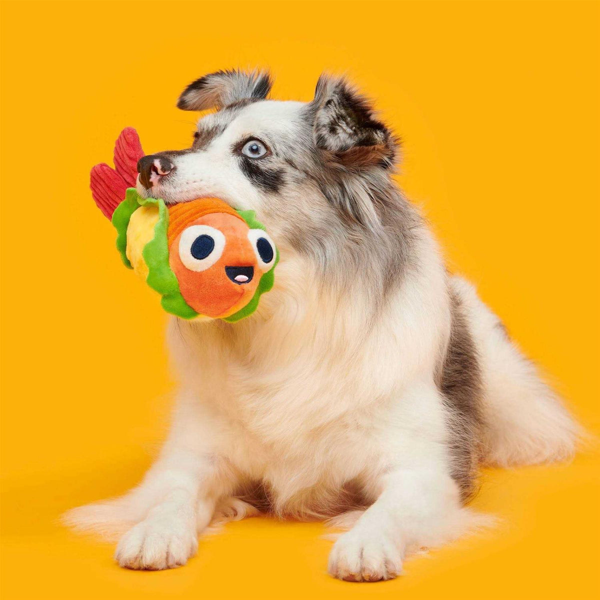 Shrimp Taco Dog Toy M789