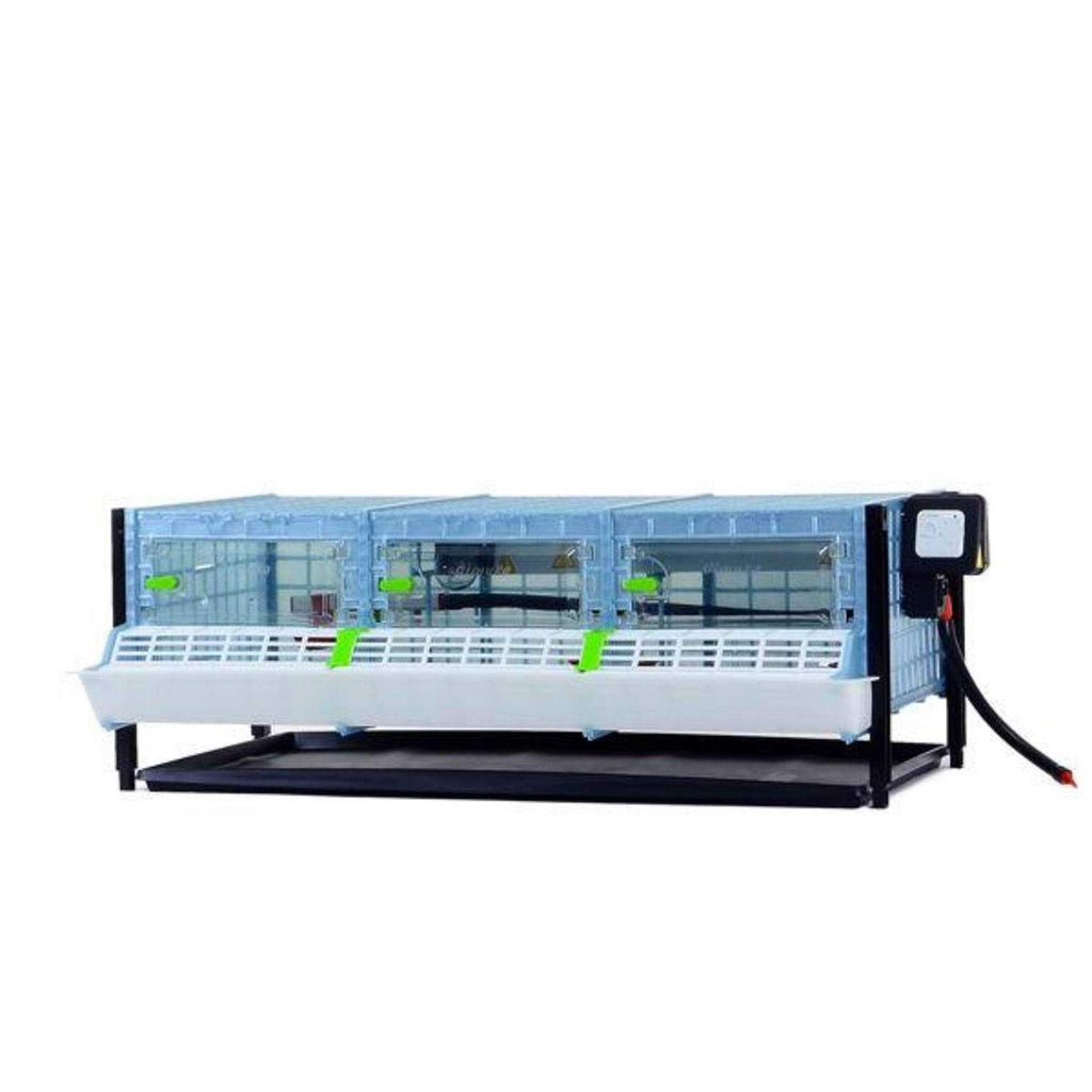 Chick Brooder A504
