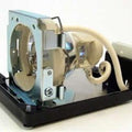 Replacement Lamp & Housing Projector Tv Lamp Bulb V407336