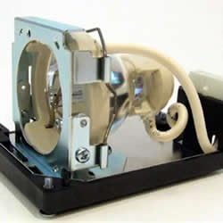 Replacement Lamp & Housing Projector Tv Lamp Bulb V407336
