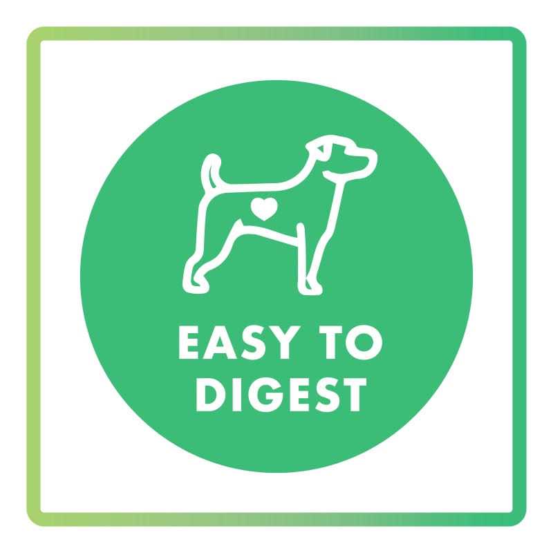 Dog Treat Assorted Flavors A669