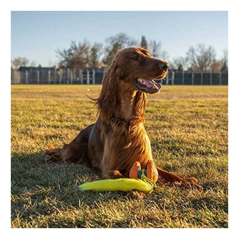 Replacement Tails Dog Toy H197