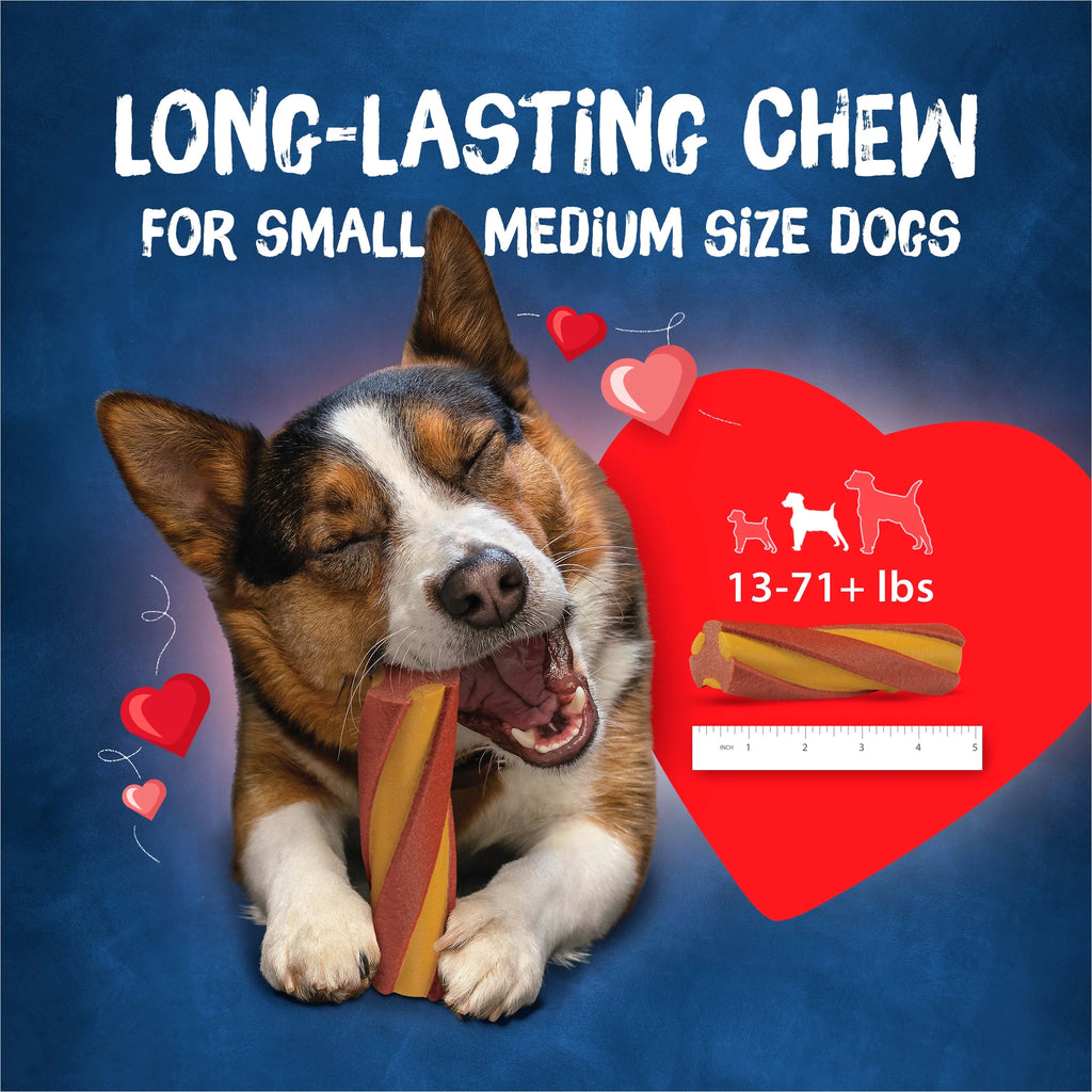 Cheddar & Hickory Smoke Dog Treats 36 oz 10 Pack S571