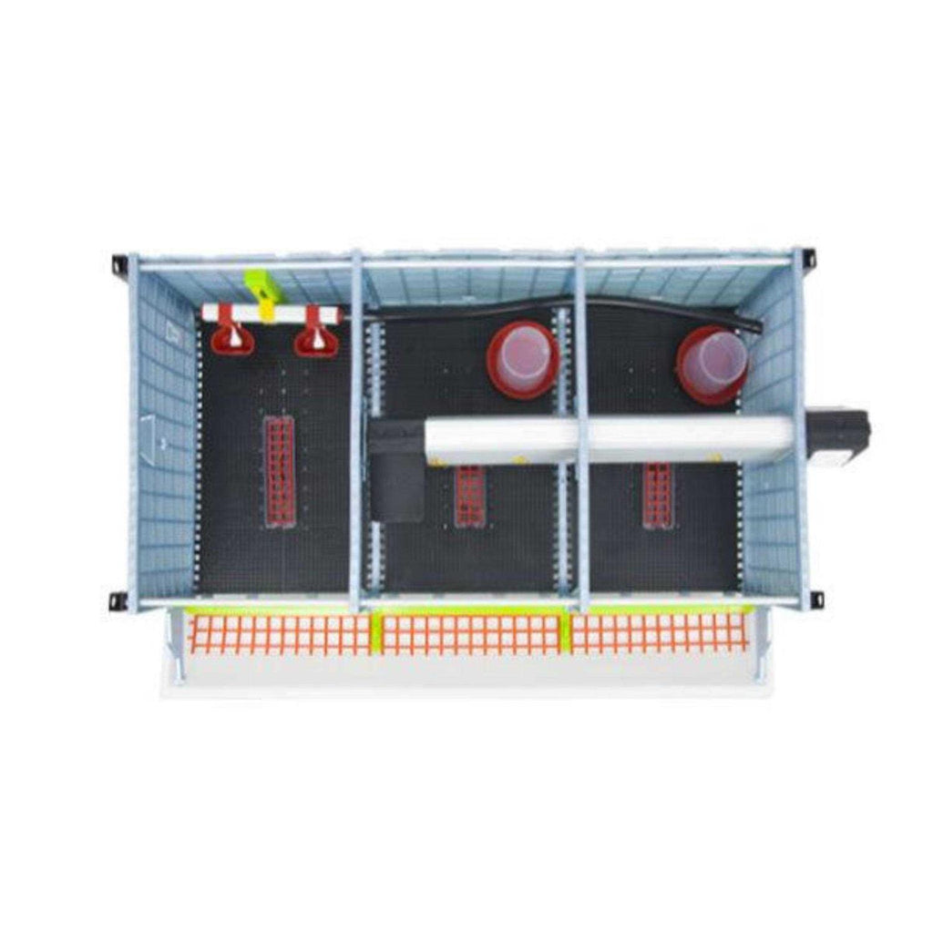 Chick Brooder A504