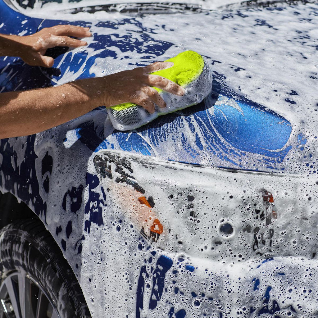 Wash and Bug Sponge Y88289