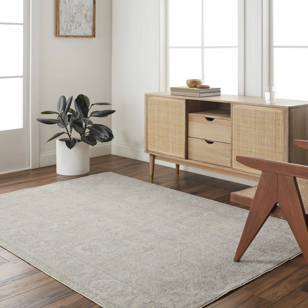 Brown Gray 10' x 14' Area Rug E6067