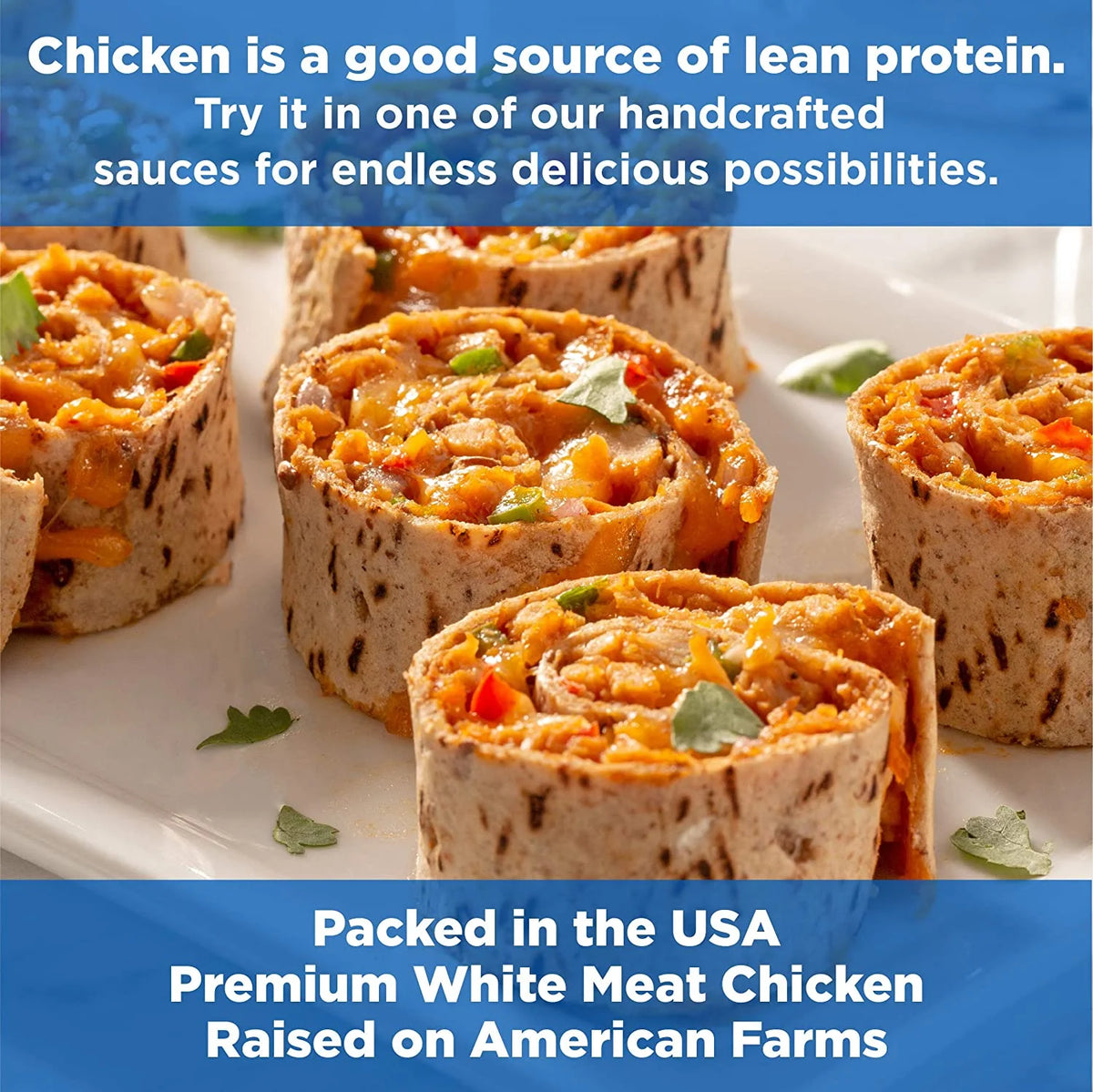 2.6 oz Pouch Pack of 6 White Chicken Y65209
