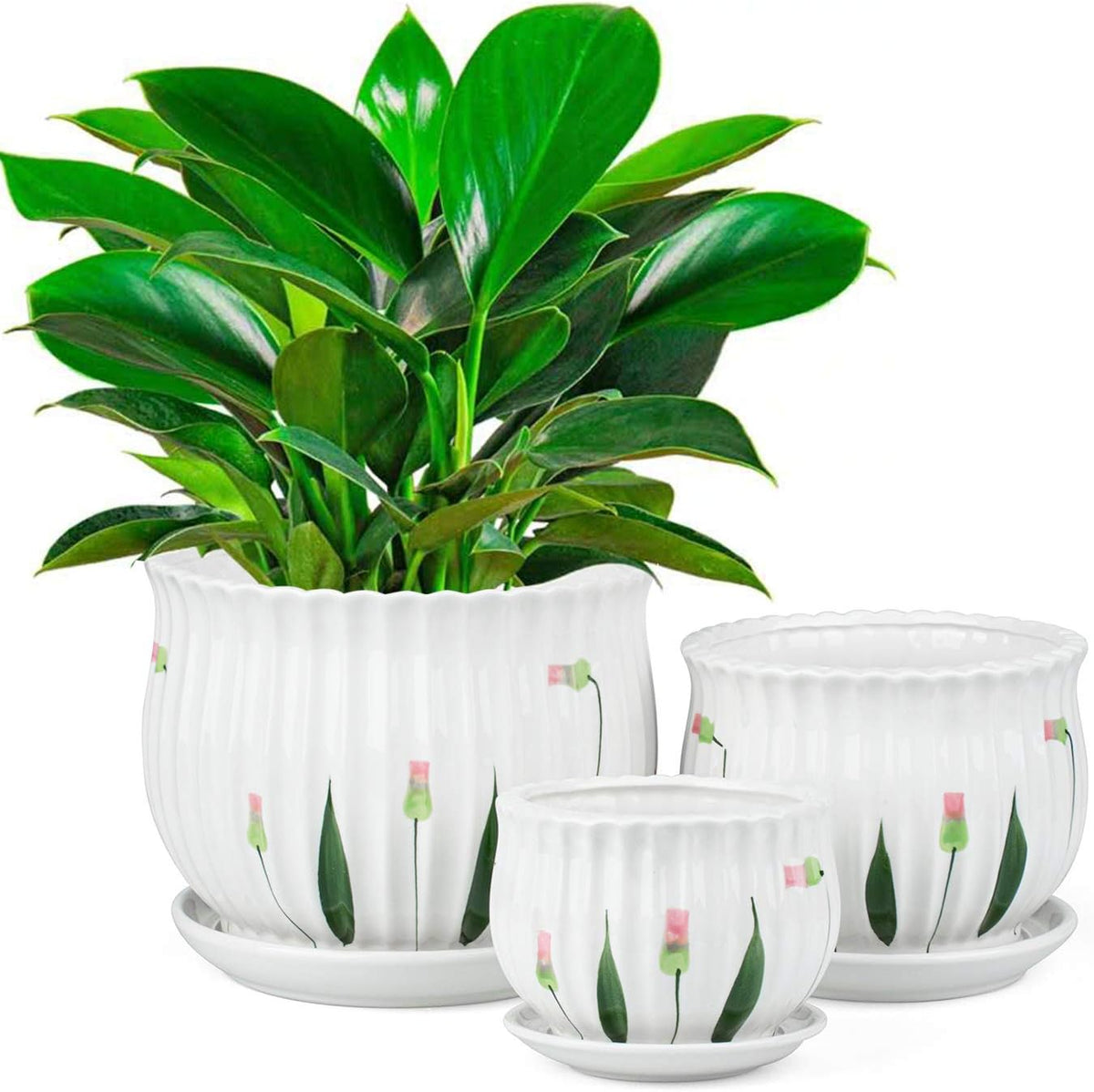 Set of 3 Ceramic Plant Pots with Drainage and Saucer Q159658