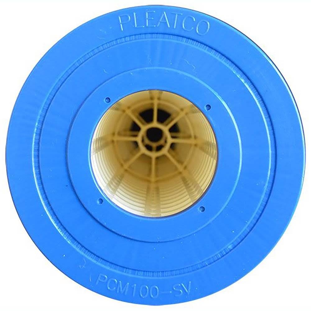Replacement Pool Filter Cartridge G4312