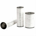 Replacement Pool Filter Cartridge G4312