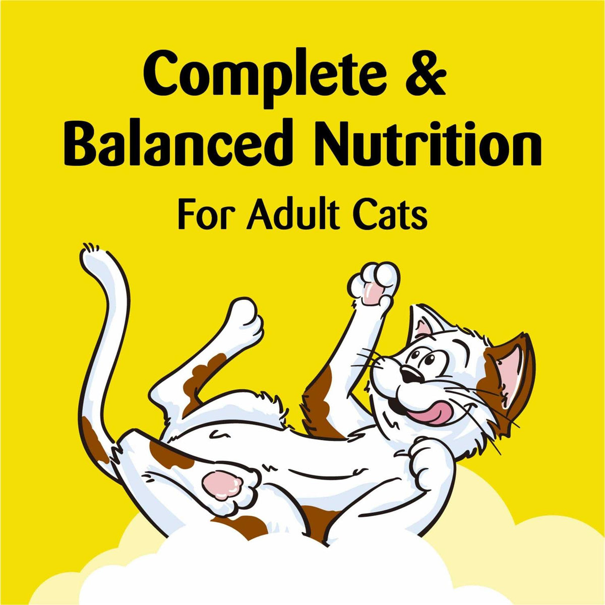 Catnip Flavor Cat Treats H95905