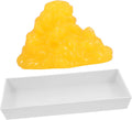 1-Pound Human Fat Model L1174