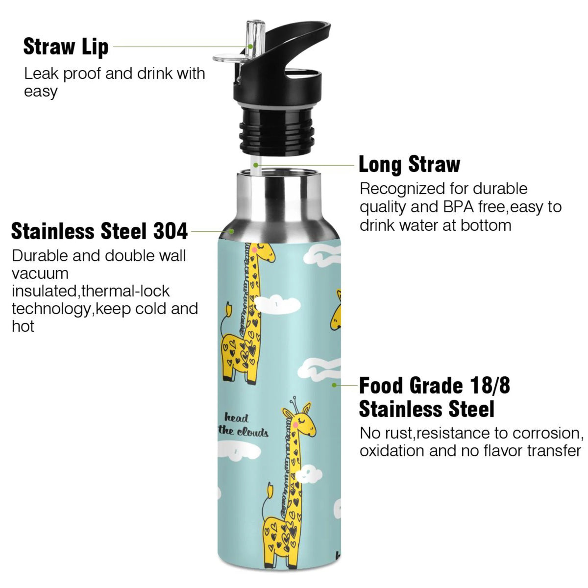 Stainless Steel Insulated Water Bottle with Straw Lid N276