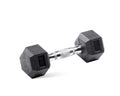 8lb Rubber Encased Hex Dumbbell N2393