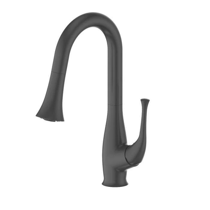 Matte Black Kitchen Faucet W31121