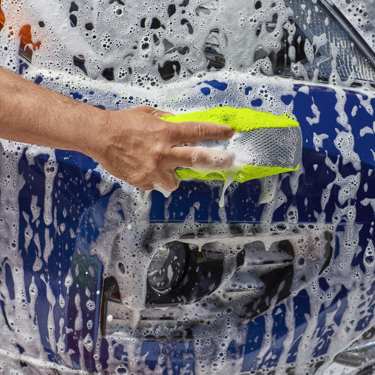 Wash and Bug Sponge Y88289