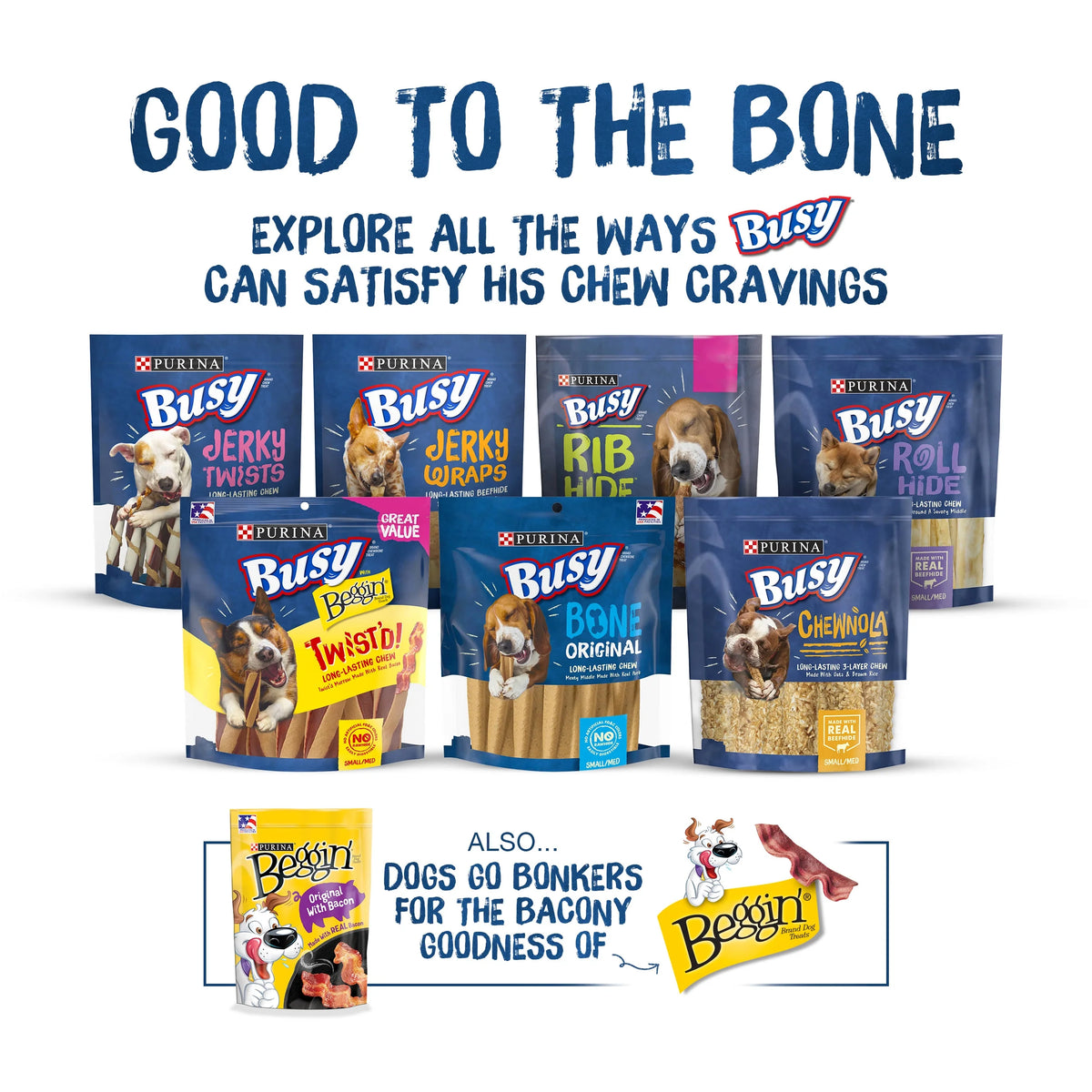 Cheddar & Hickory Smoke Dog Treats 36 oz 10 Pack S571