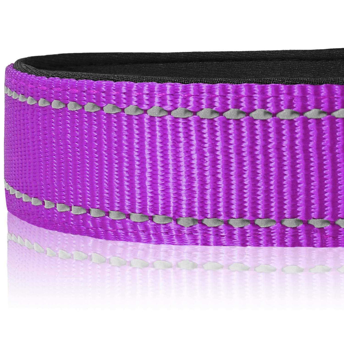 Reflective Neoprene Padded Nylon Dog Collar V504