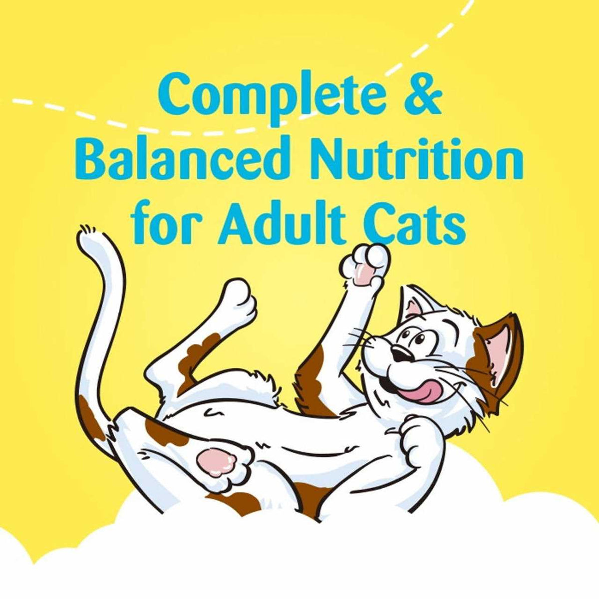 Catnip Flavor Cat Treats H95905