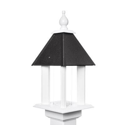 Black Tube Bird Feeder Y844
