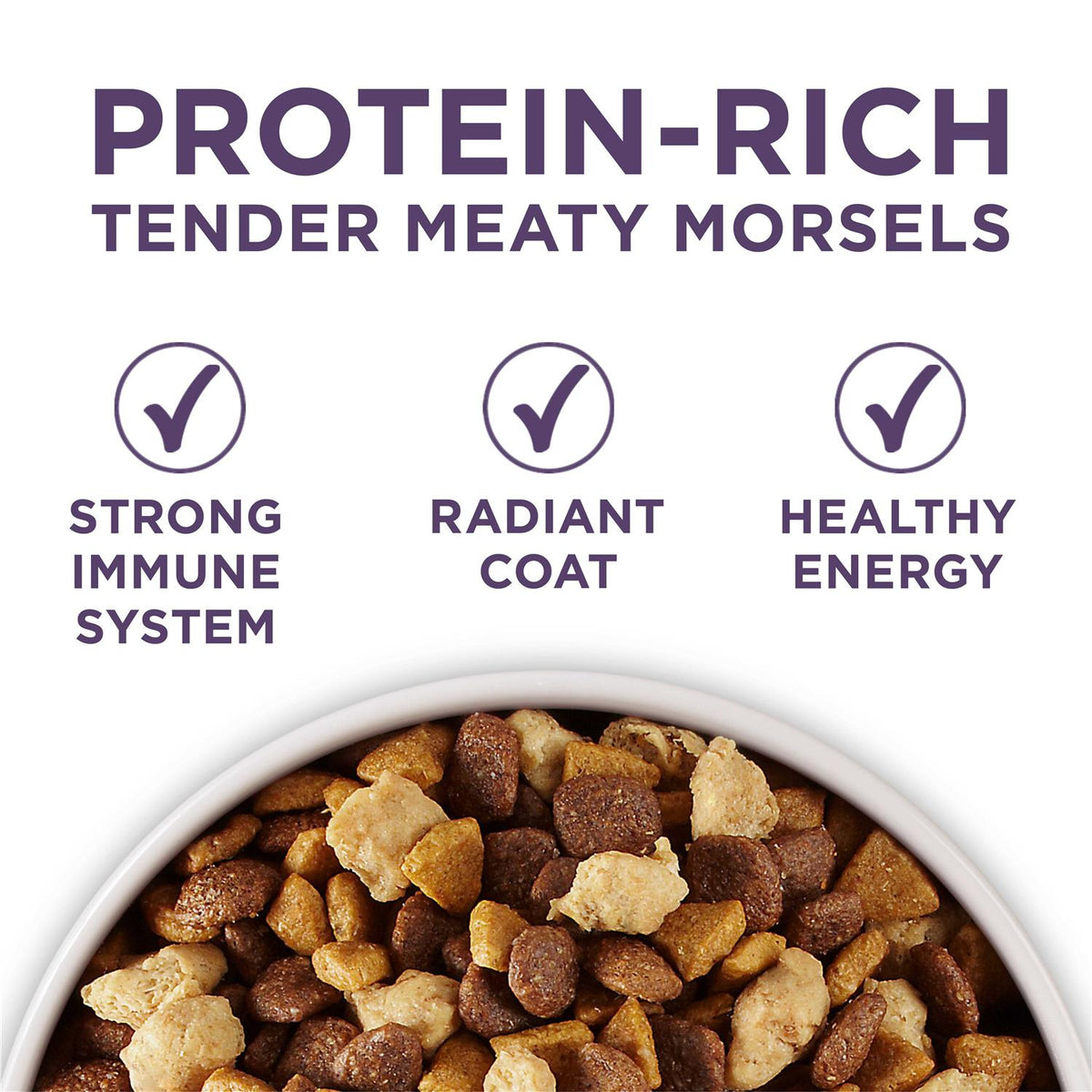 Adult Dry Dog Food W61497
